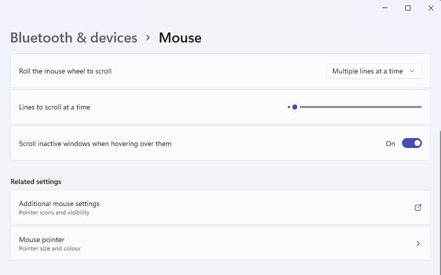 The Additional mouse settings navigation option 