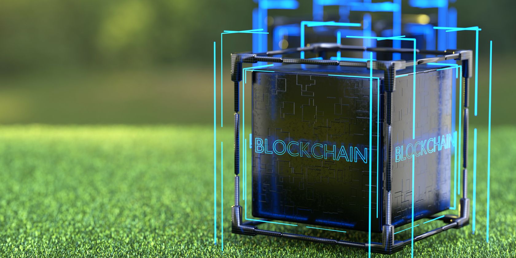 blockchain block on grass feature