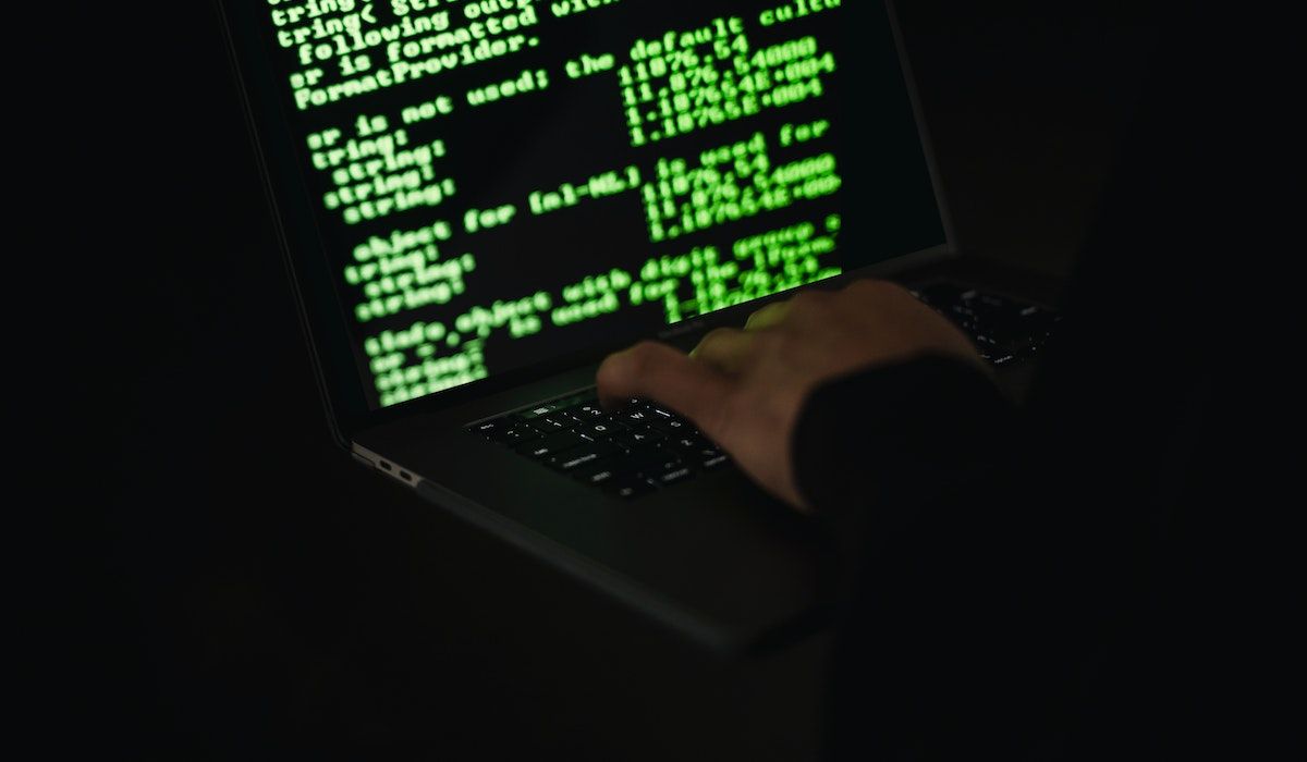 cybersecurity expert who analyzes a botnet