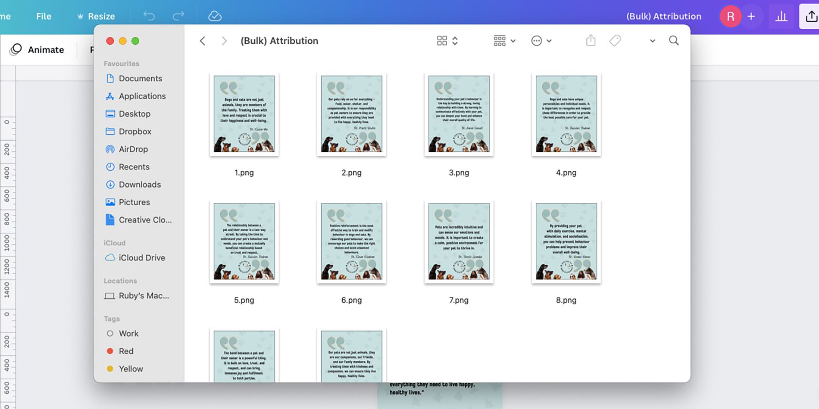 Bulk designs on Mac Finder window