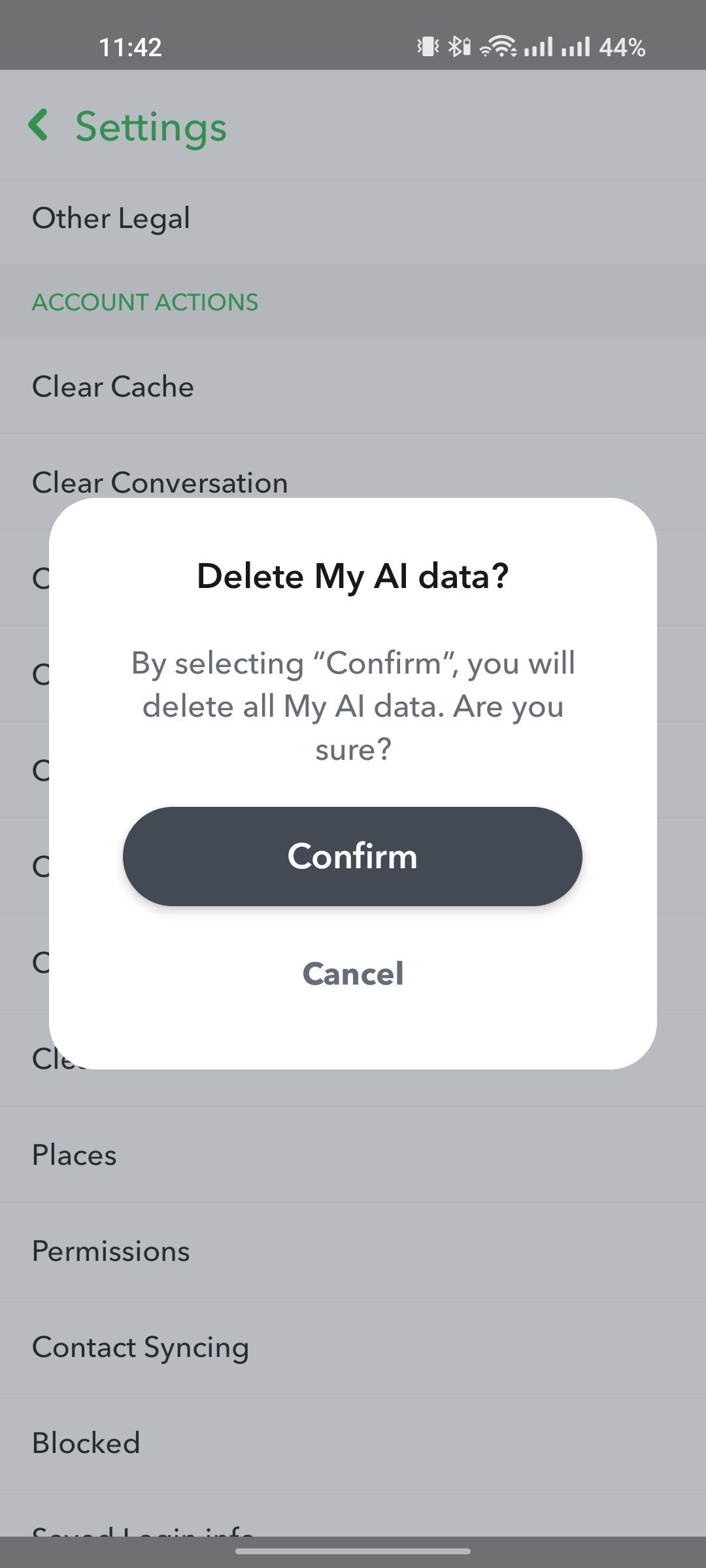 Clearing AI conversation data 