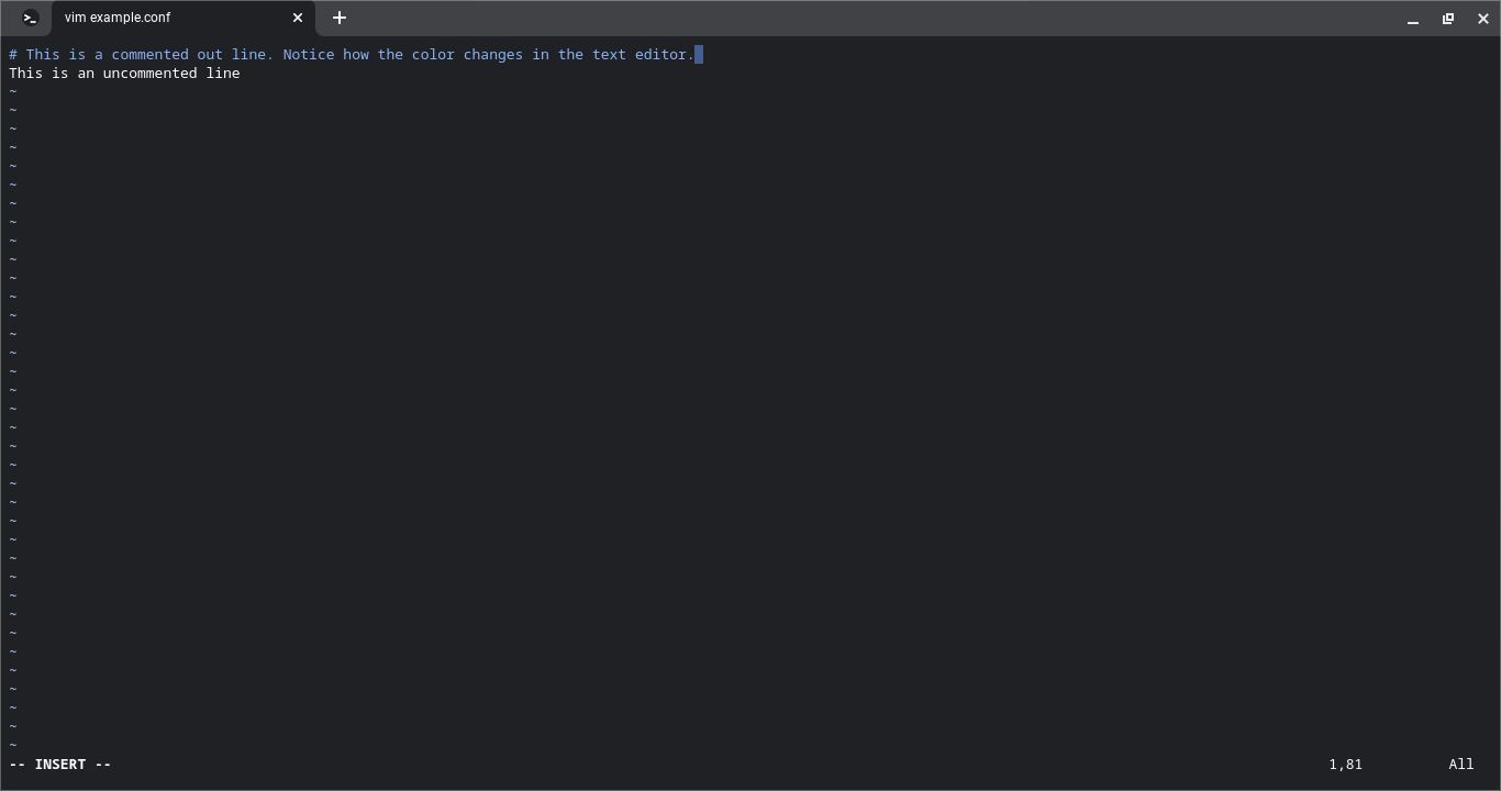Commented out line in text editor