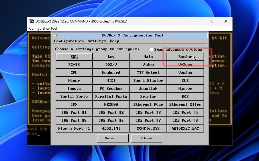 DOSBox-X Configuration Tool Render Entry