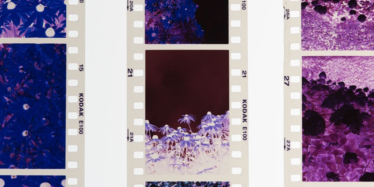 Three strips of negative film, side by side on a white background.