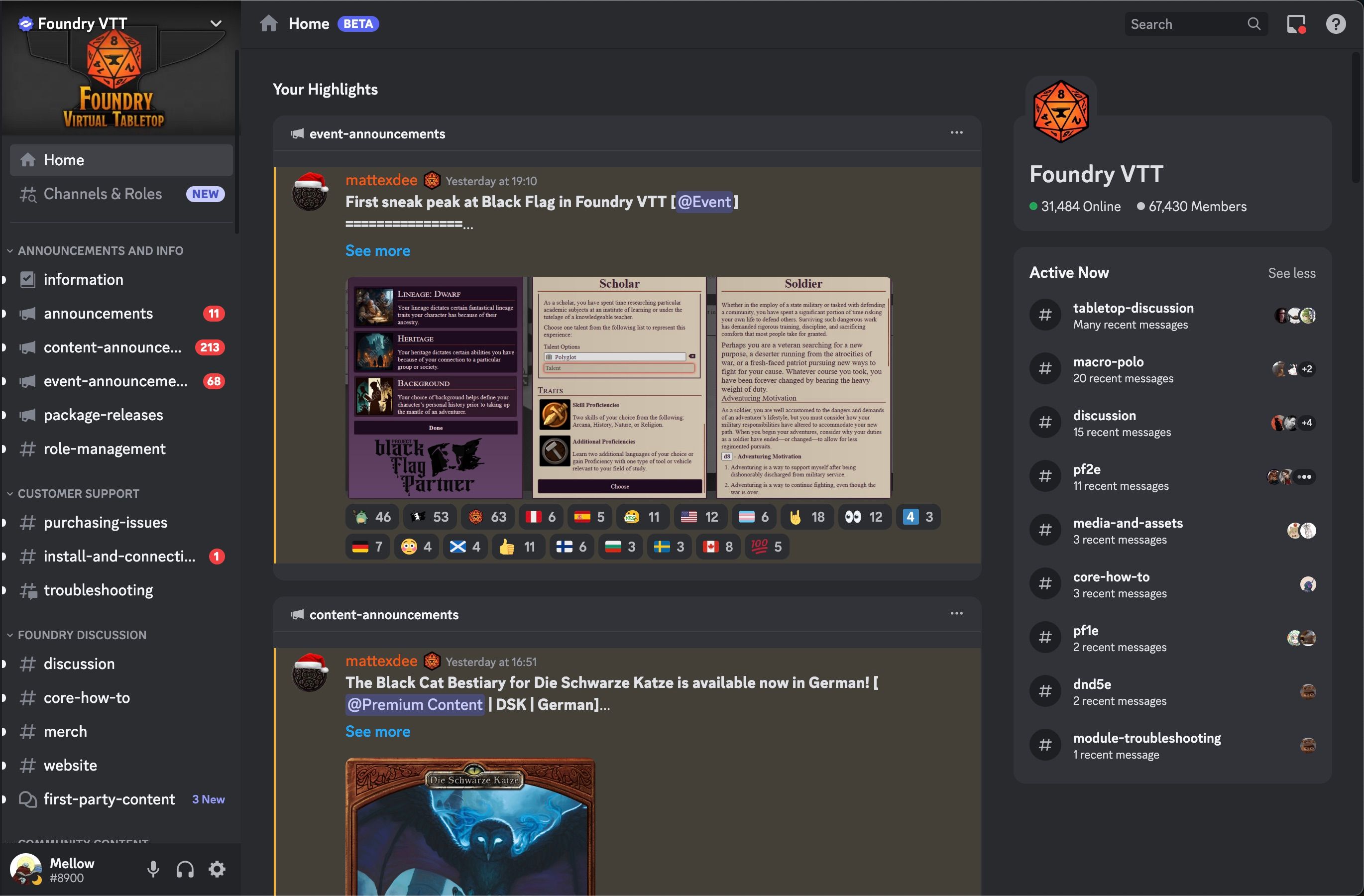 FoundryVTT Discord channel's home page