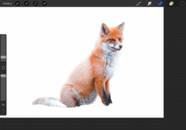 How To Create Double Exposure Images Using Procreate