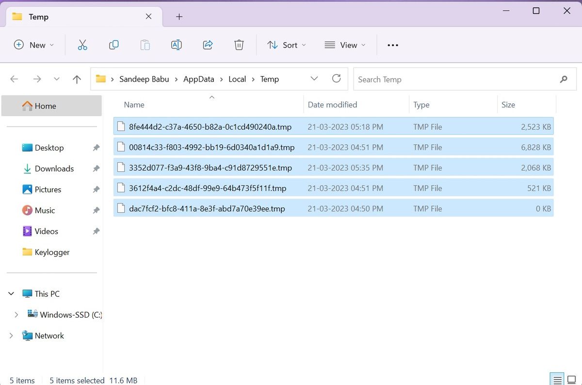 Screenshot of Temp File Folder 