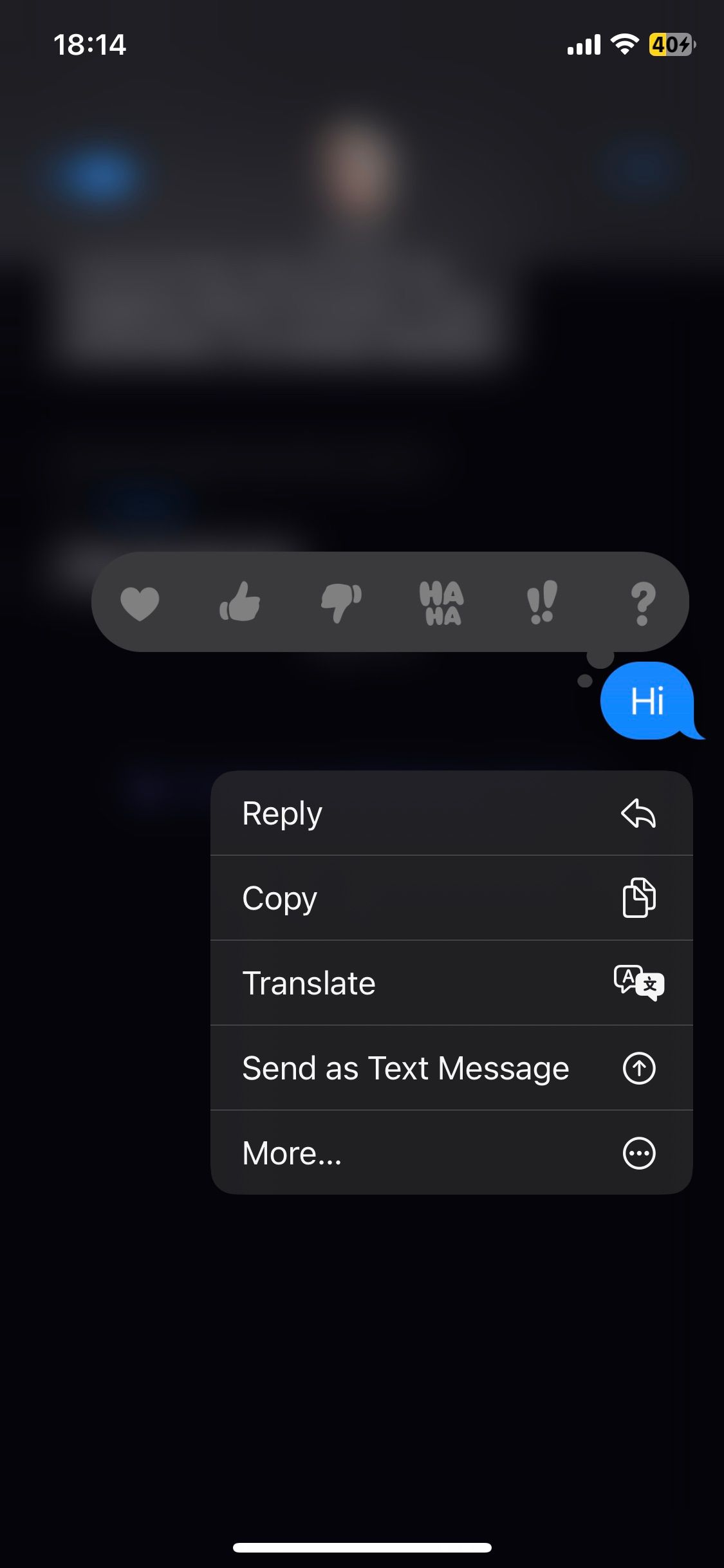 iMessages text message menu displaying send as Text Message