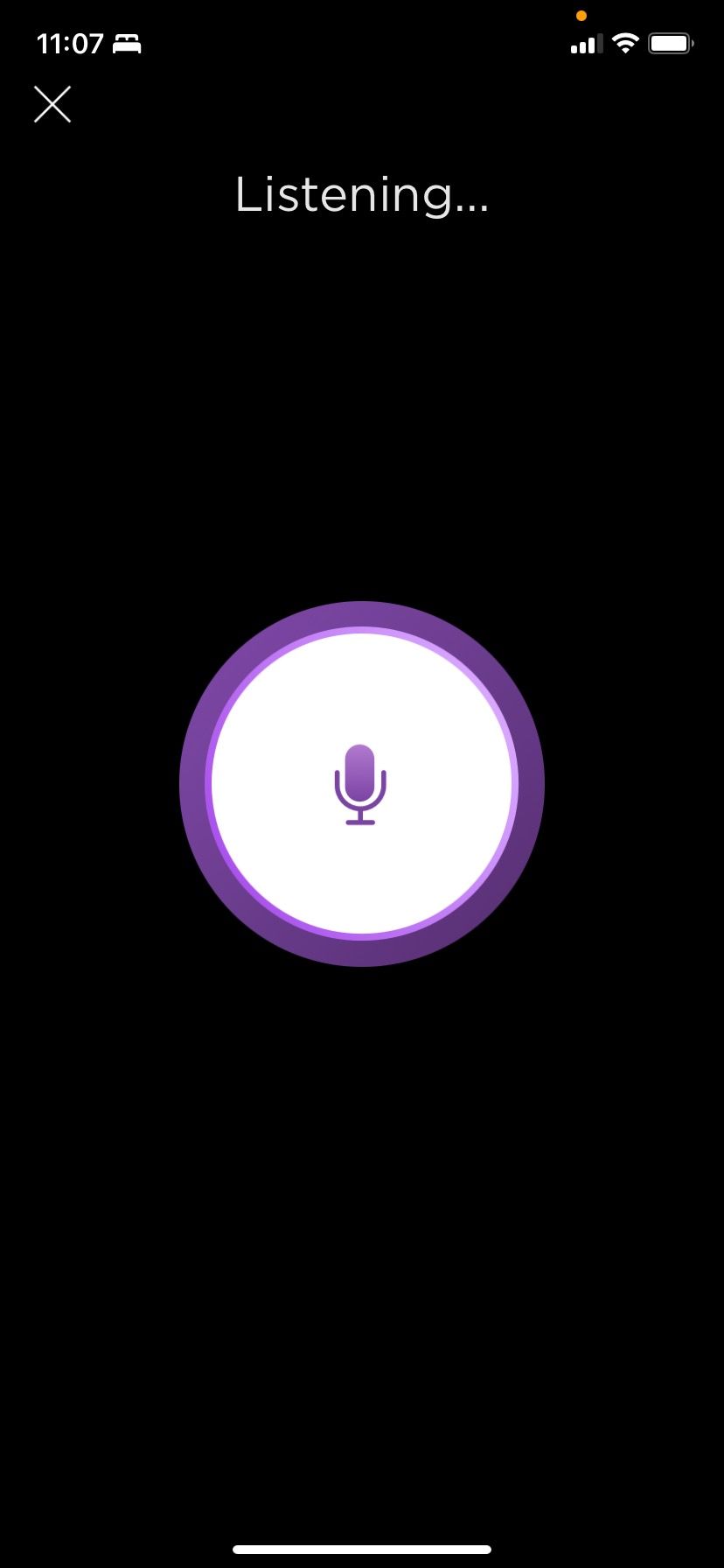 Roku app voice control remote
