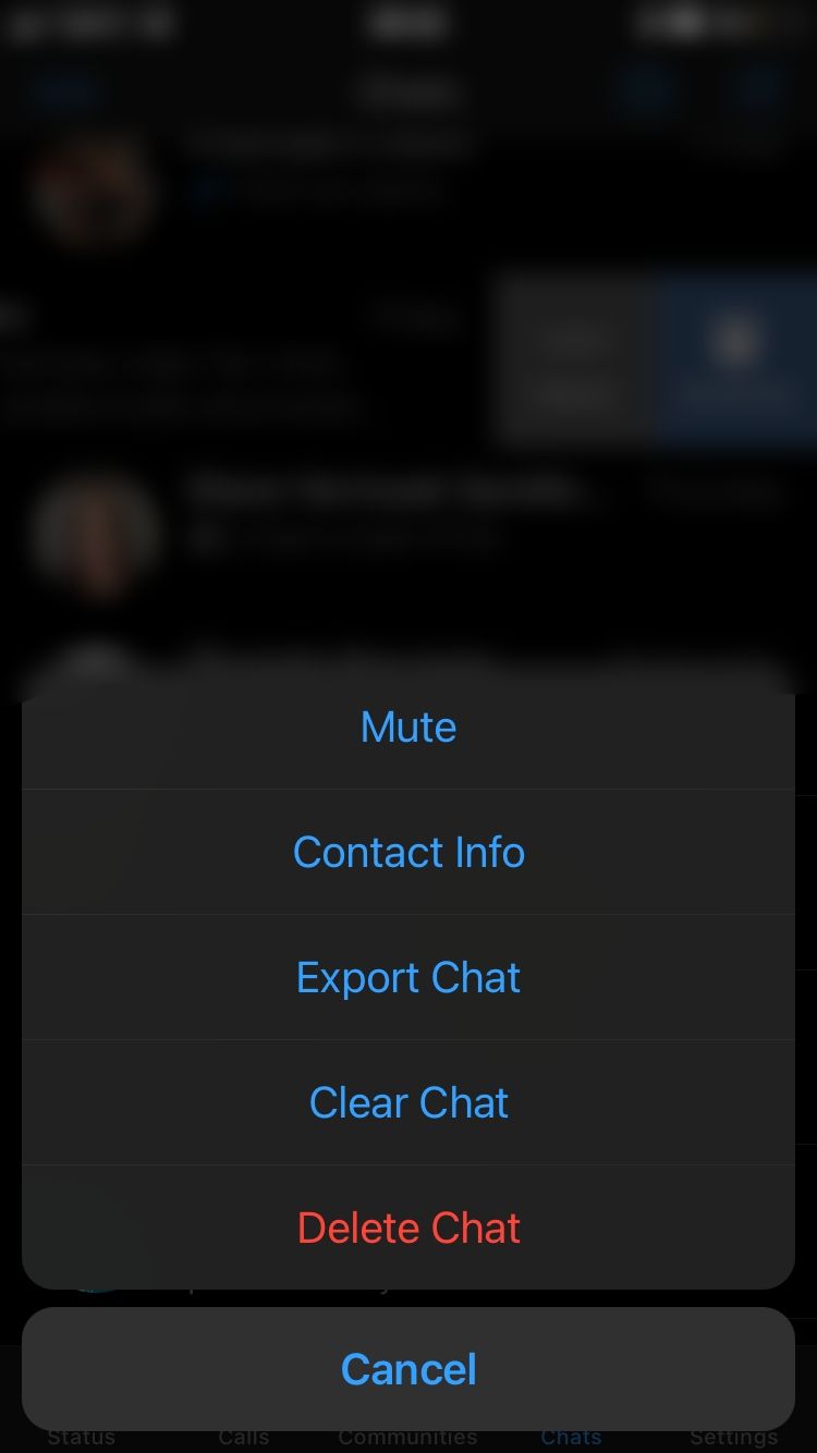 individual chat menu options on WhatsApp for iOS