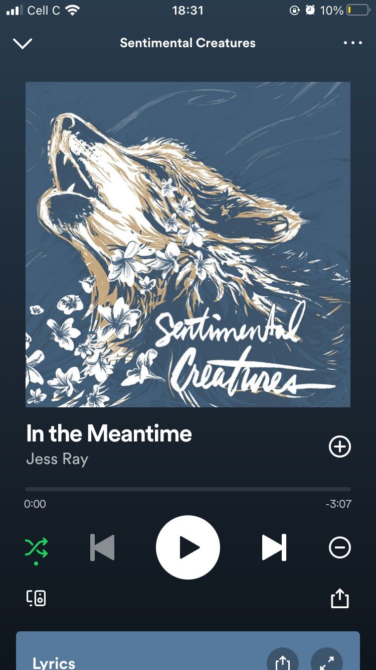 jess ray's in the meantime artwork on Spotify mobile app