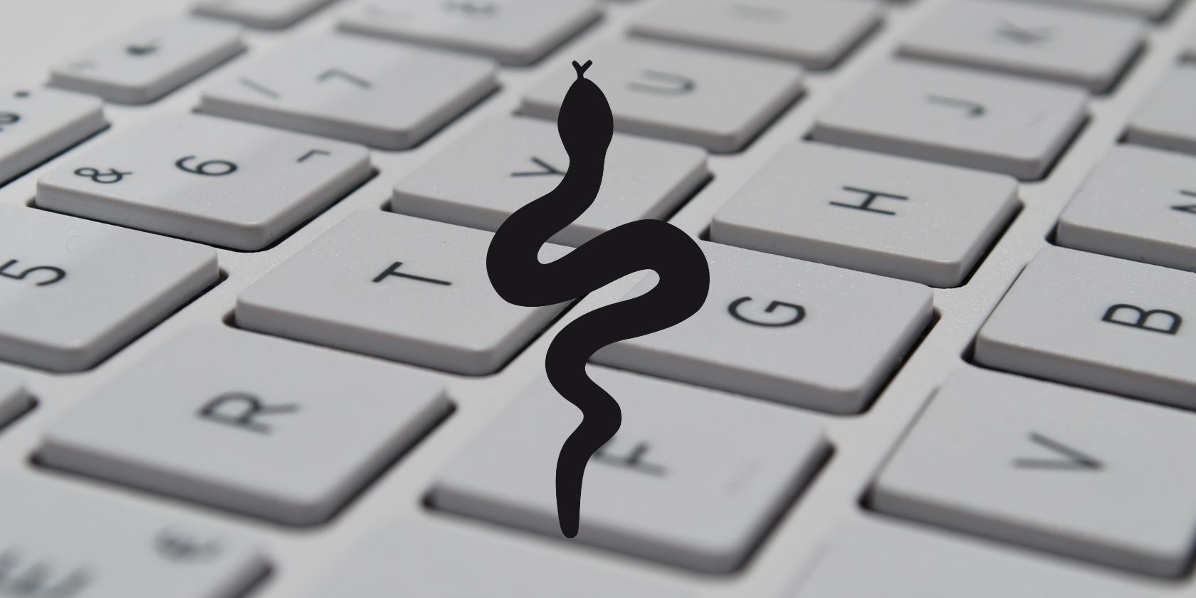 What is Snake Keylogger and are you at risk?
