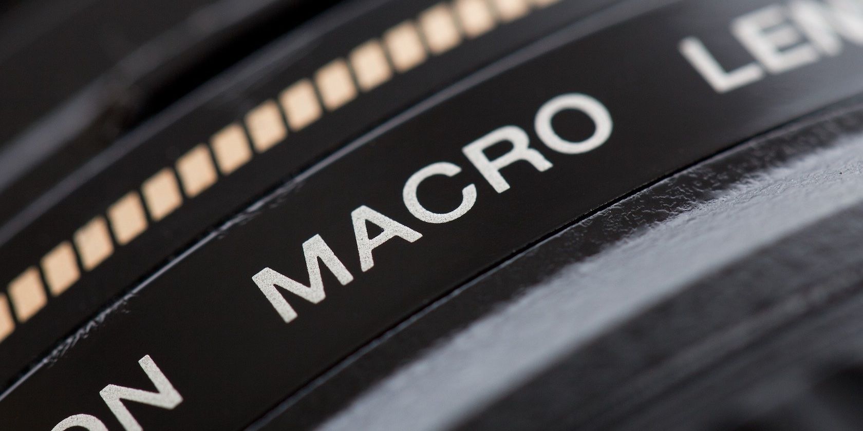 What Is a Macro Lens and What Is It Used For?