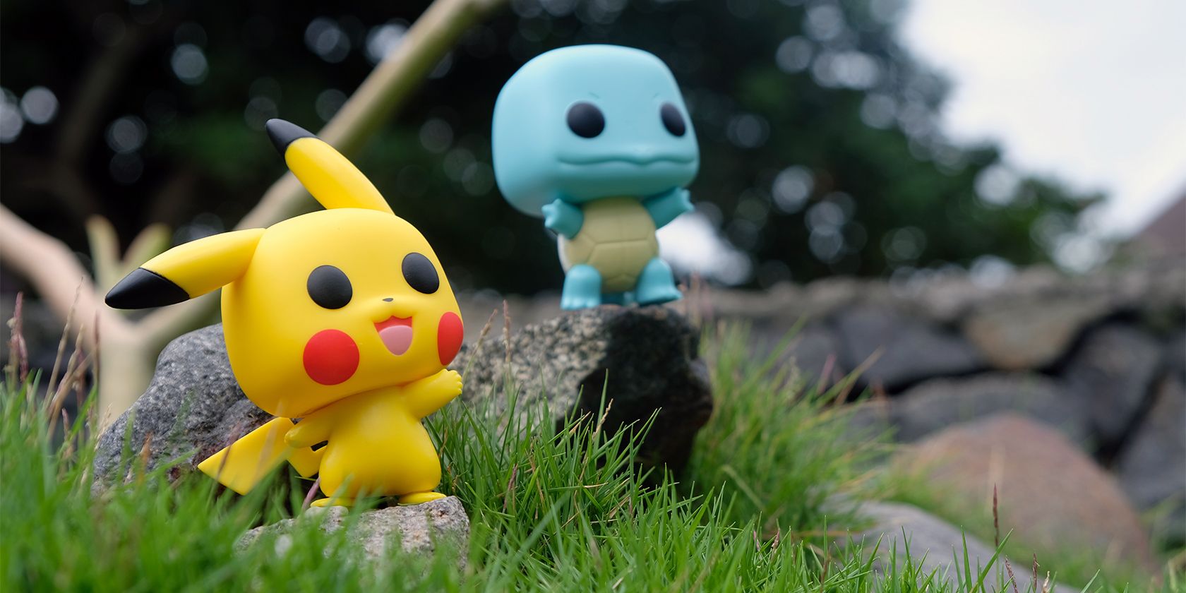 Pikachu and Squirtle on a Rock