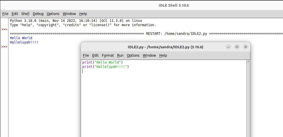 execute o código no shell IDLE e nas janelas do editor 