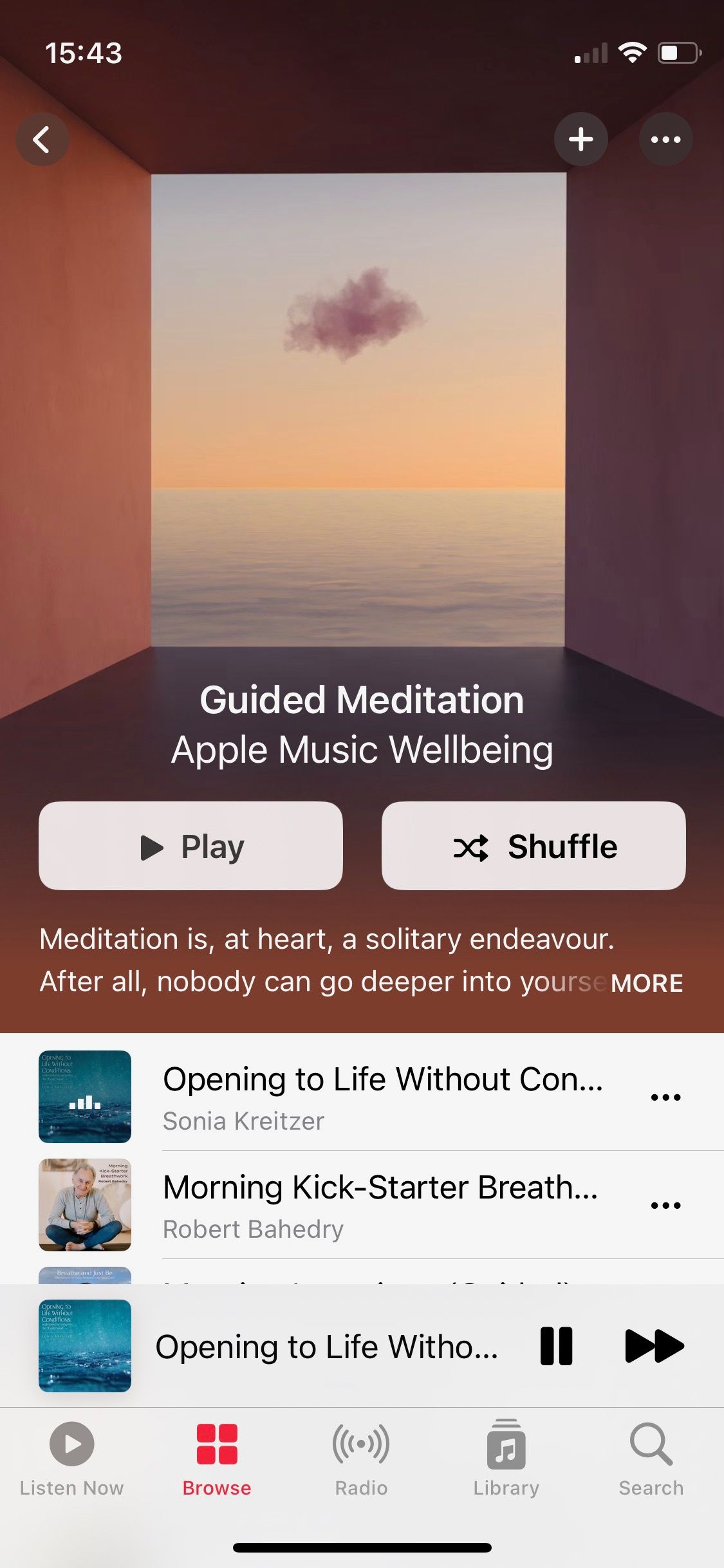 Screenshot of Apple Music Guided Meditation playlist