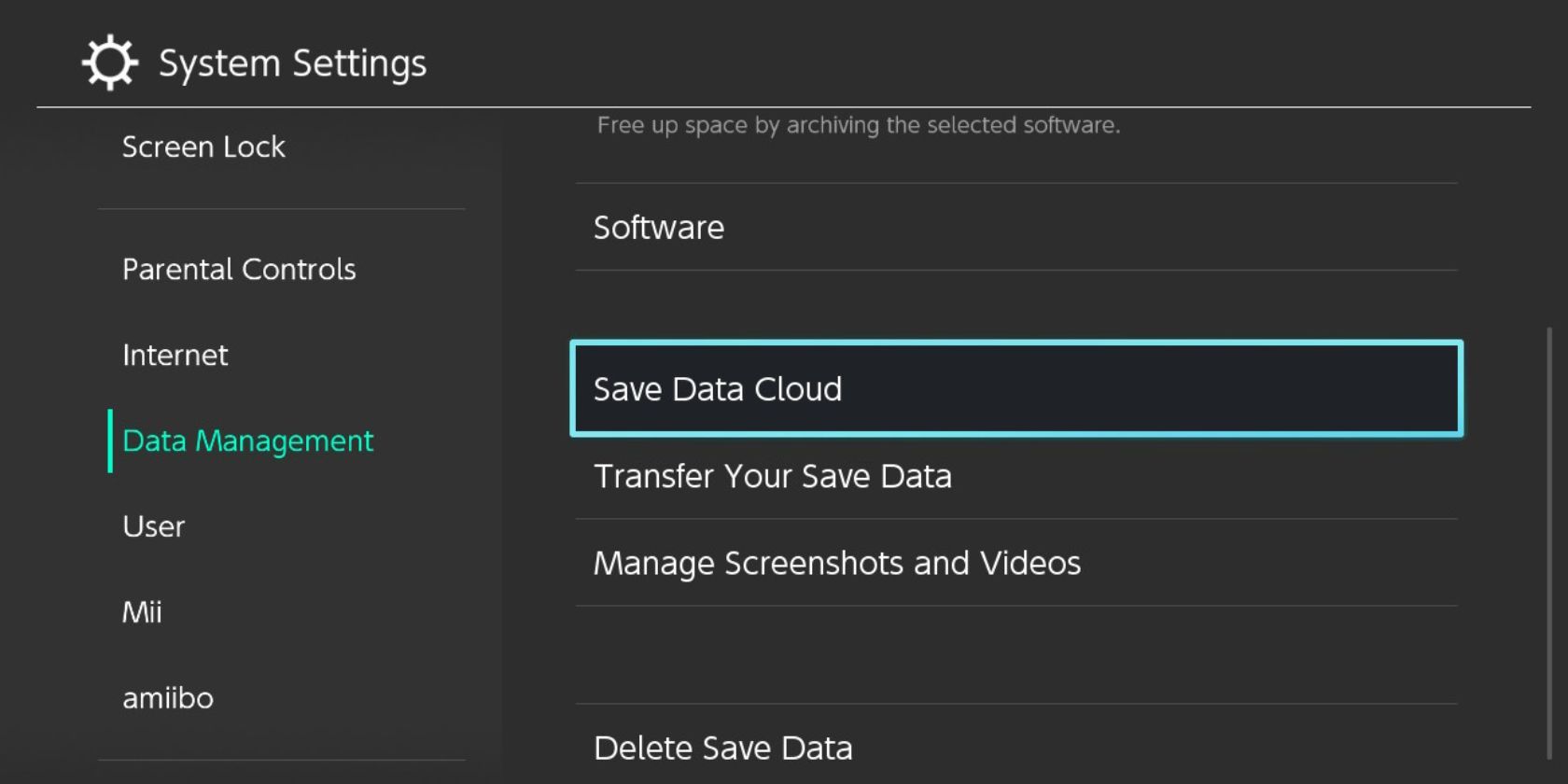 Screenshot of Nintendo Switch Data Management Settings