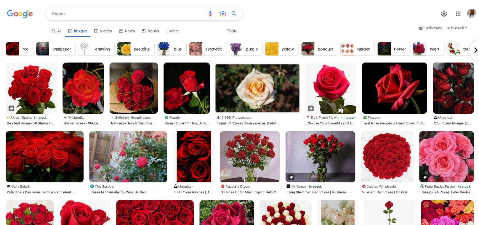 Screenshot showing results page using a cross search with images