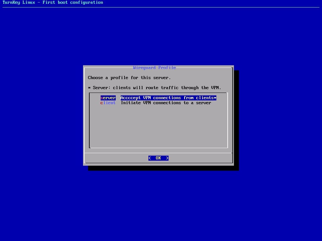 Screenshot of turnkey vpn asking for server type