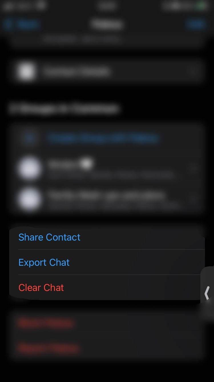share, export, clear chat options on WhatsApp iOS app