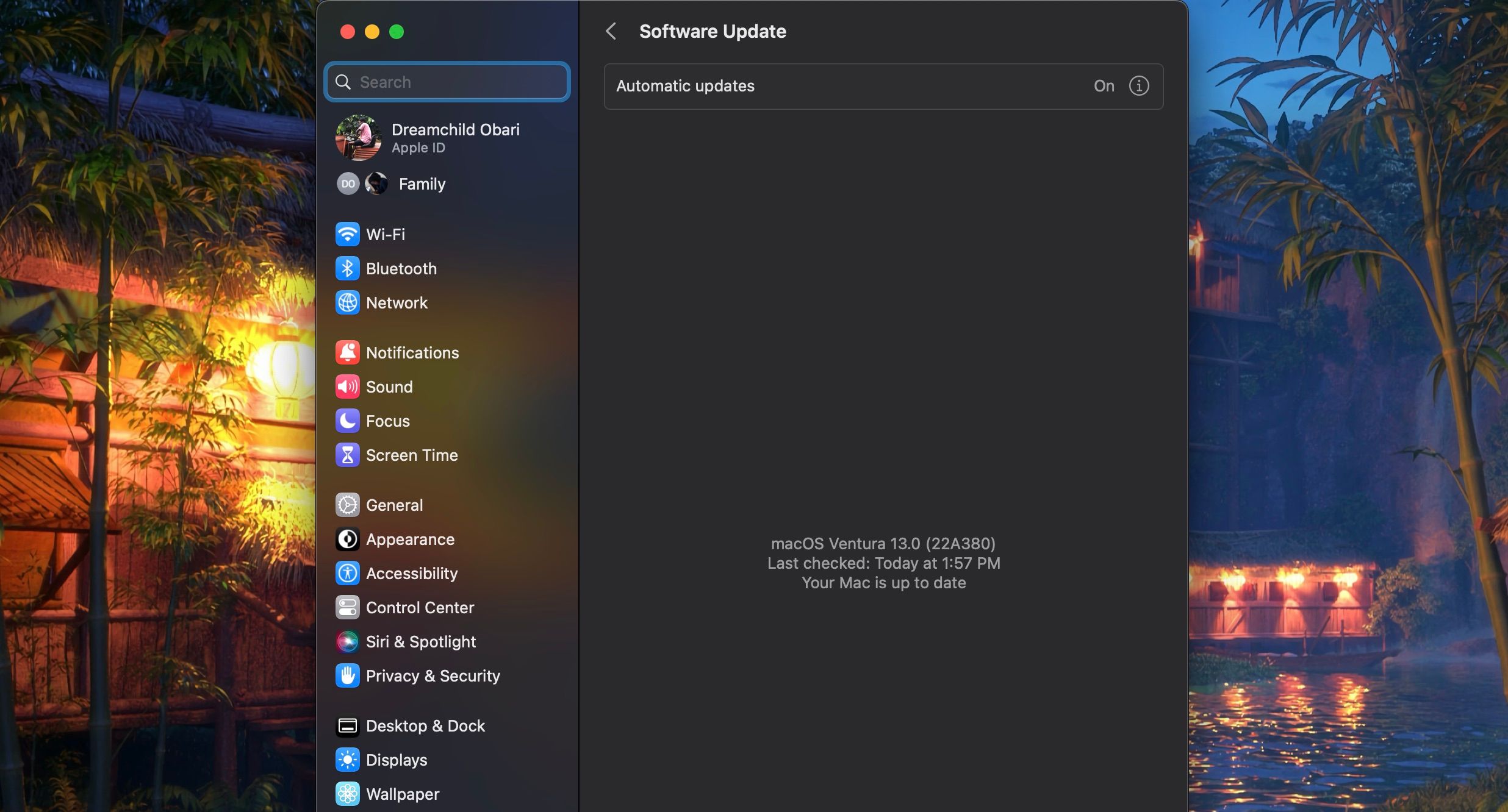 Software Update section of the System Settings