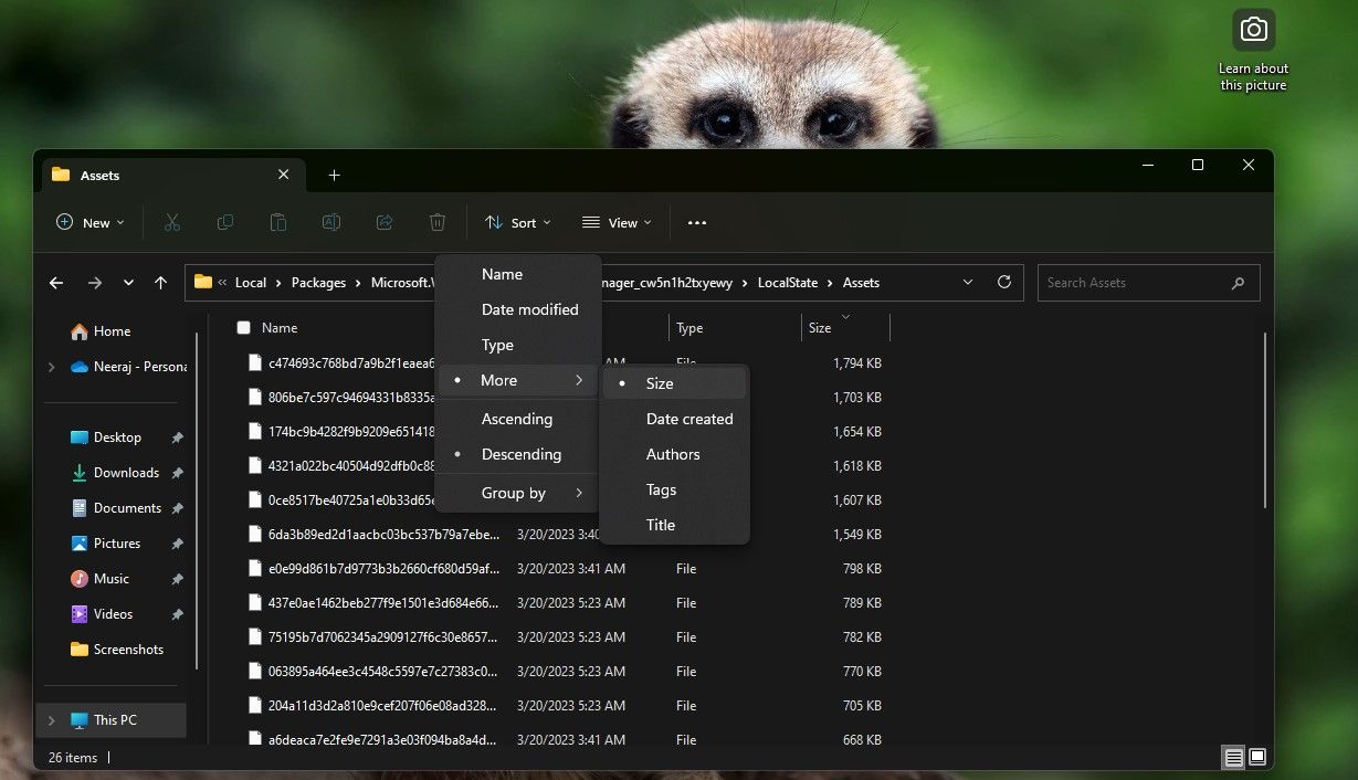 Sortir File Gambar Spotlight Windows Berdasarkan Ukuran