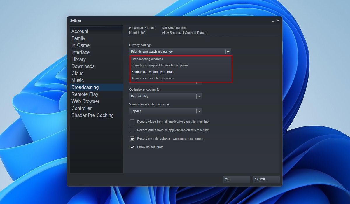 Steam Broadcast Privacy Setting