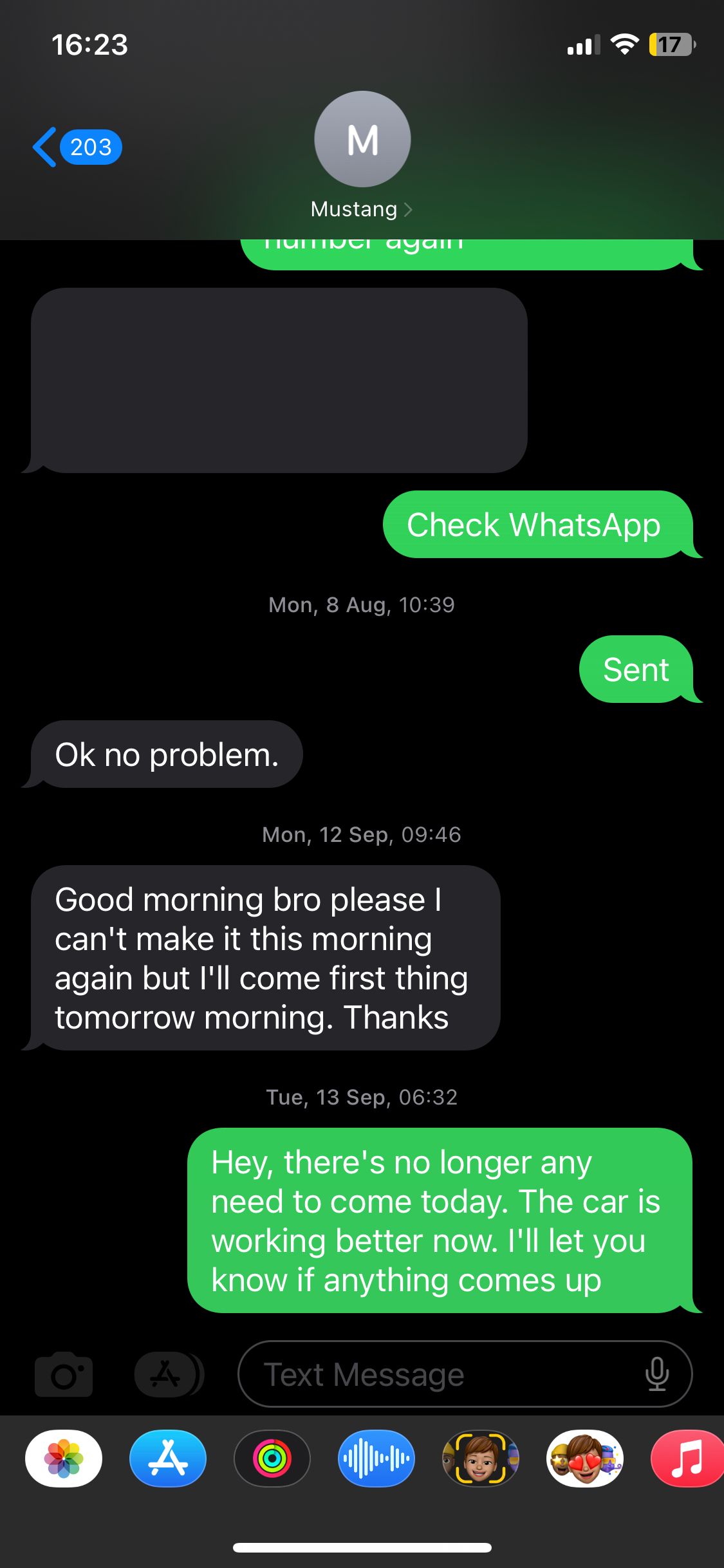 Text message screenshot on Messages app