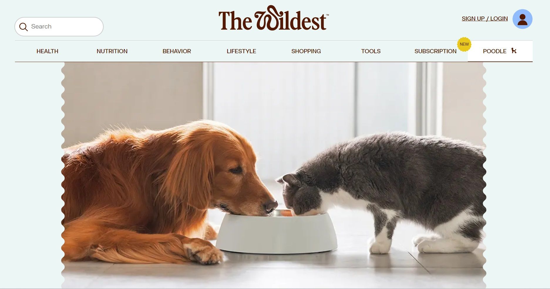 Image of dog and cat on The Wildest