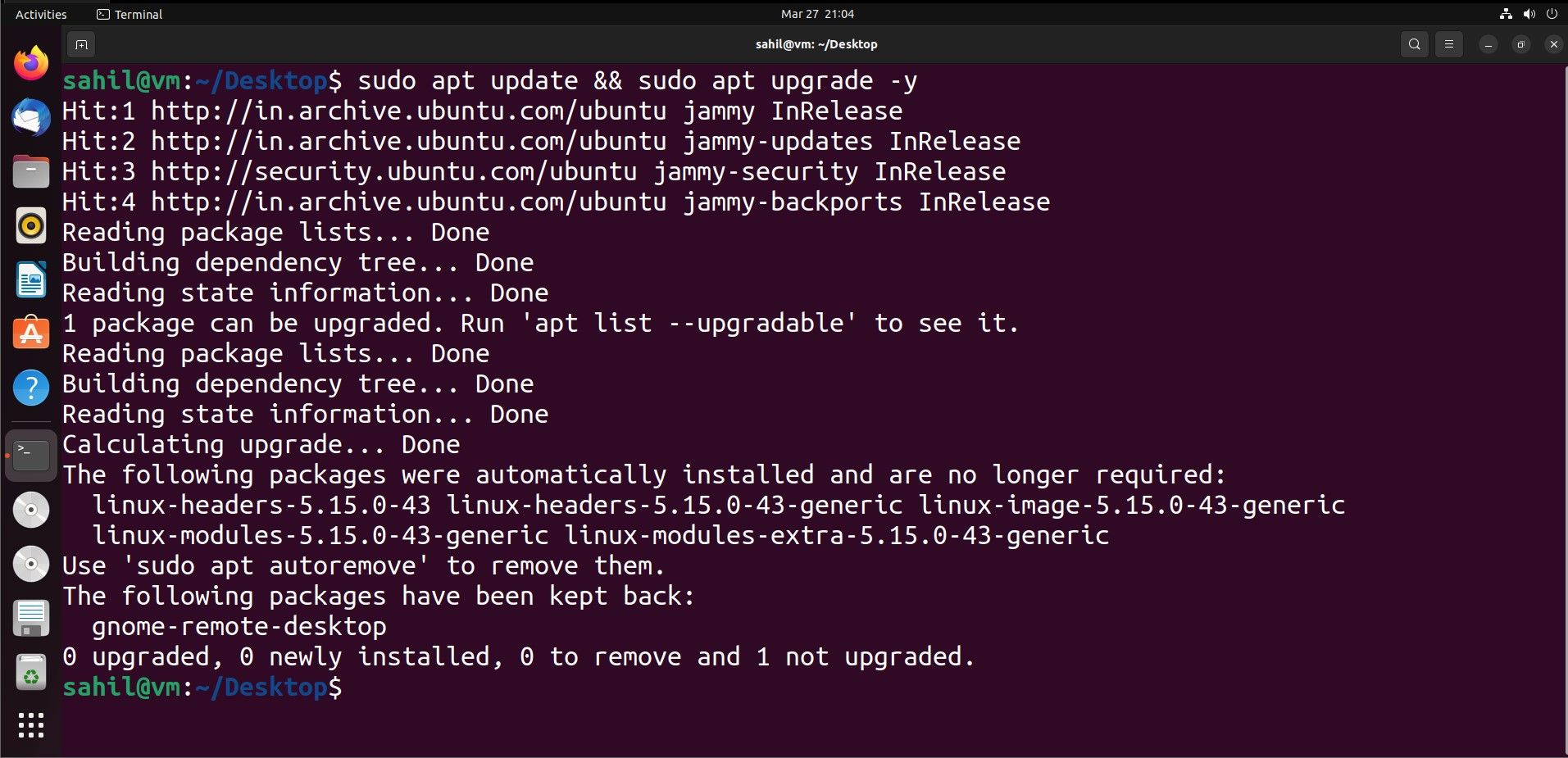 Linux Ubuntu terminal interface showing update commands