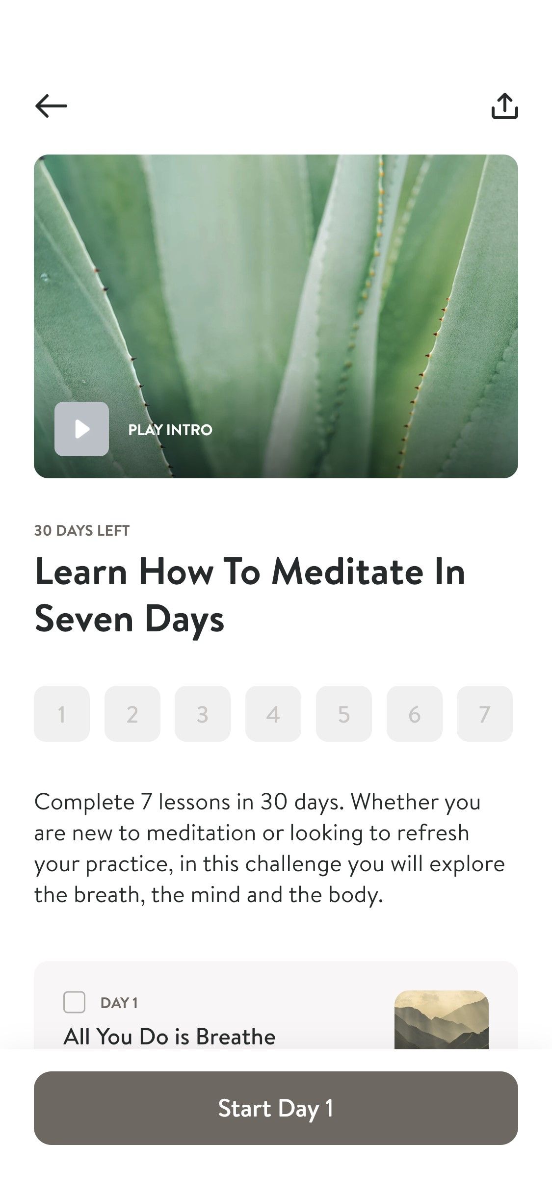 Use Insight Timer to Meditate on Finding Your Purpose