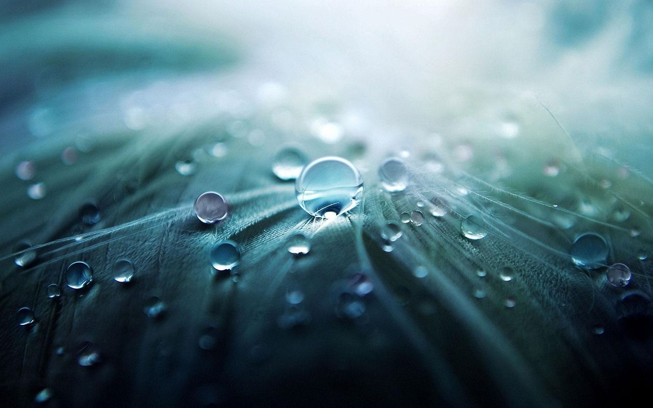 photo of waterdrops on a leaf