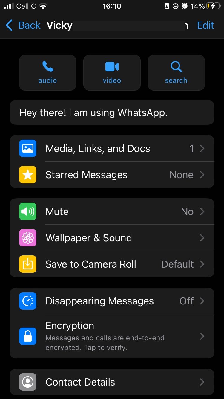 WhatsApp contact options on mobile app