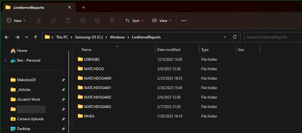 Windows LiveKernelReports Folder
