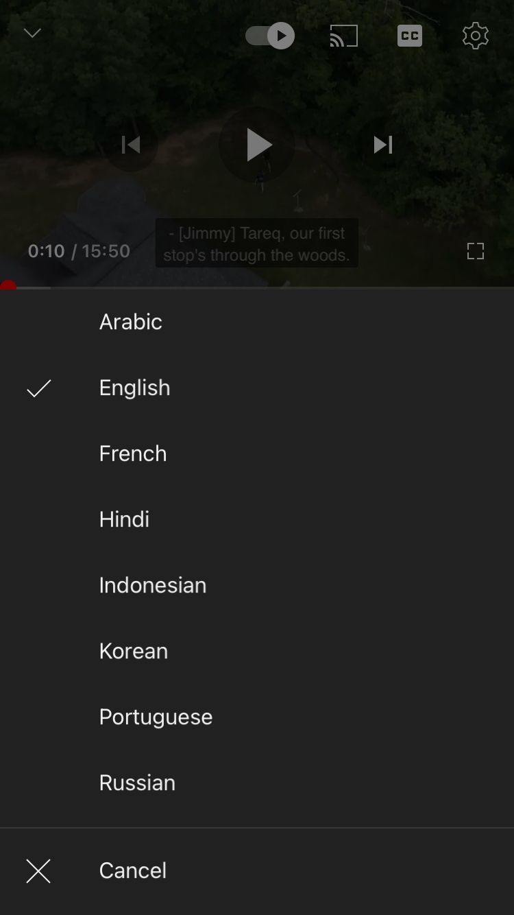 YouTube video audio language list opened on mobile