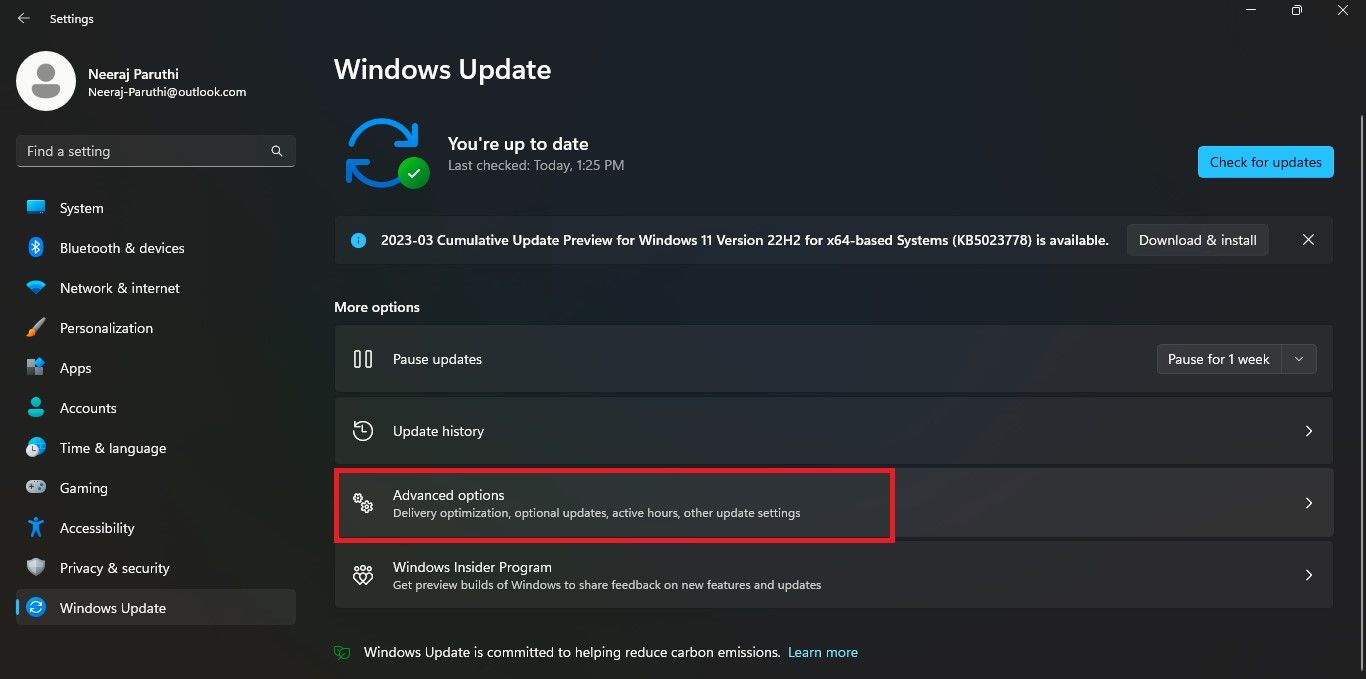 Advanced Options in Windows Update