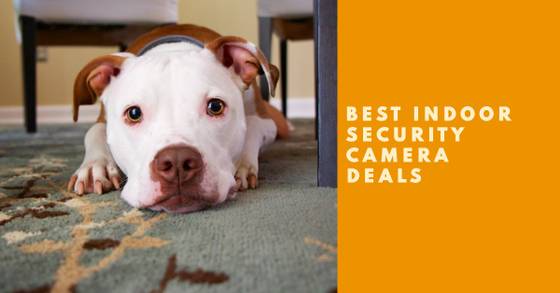 Stay Safe and Save With the Best Indoor Security Camera Deals