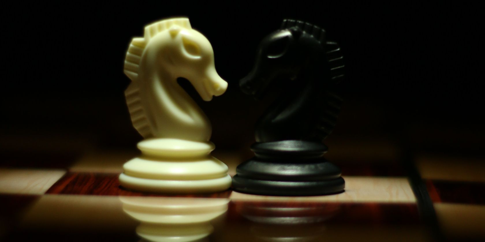 black and white chess knights facing one another and looking moody