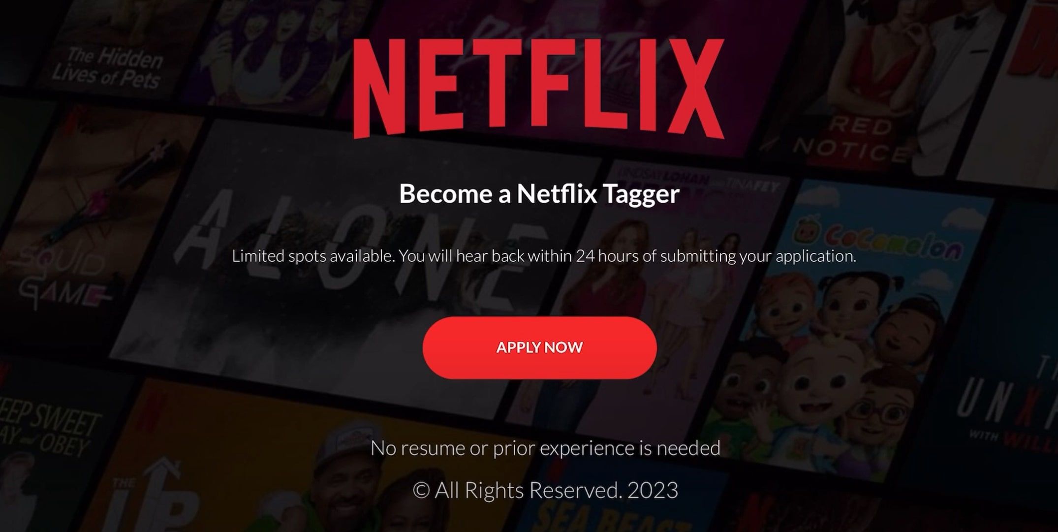 Fake Netflix Tagger Job on NetflixTagging.com Scam Website