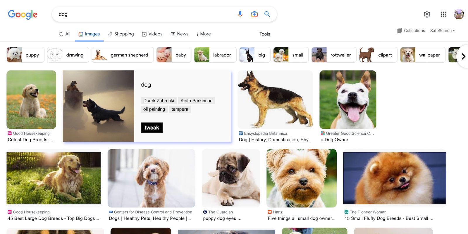 Searching for Dog Pictures on Google With Find Anything Extension