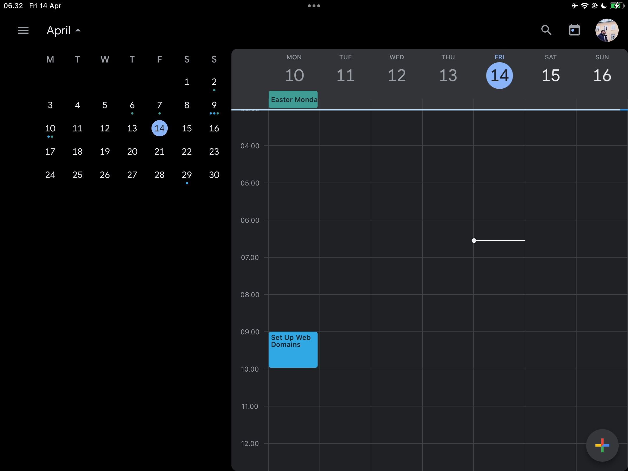 Google Calendar on iPad Screenshot