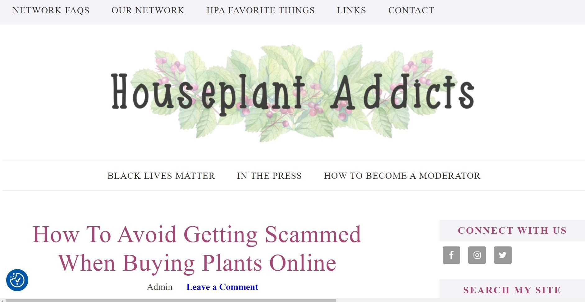 Blog article on Houseplant Addicts