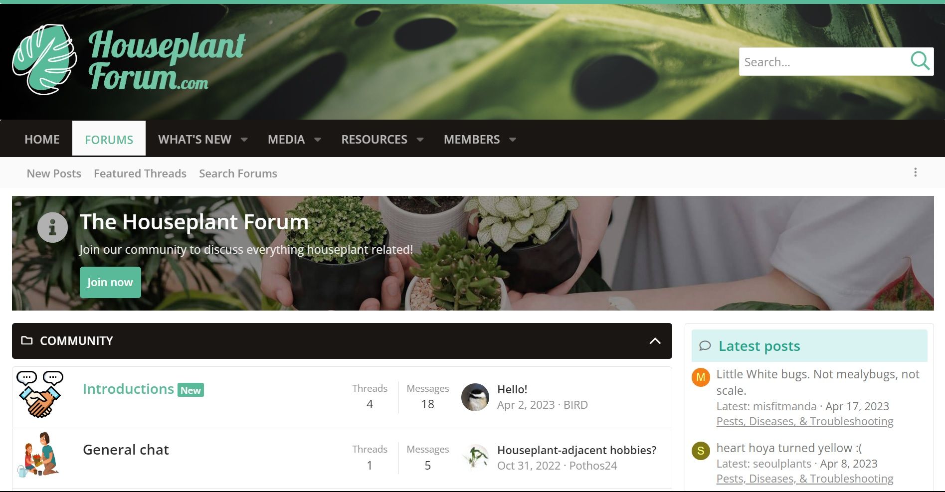 Forum page on Houseplant Forum site