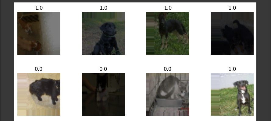 A cat and dog dataset with labels