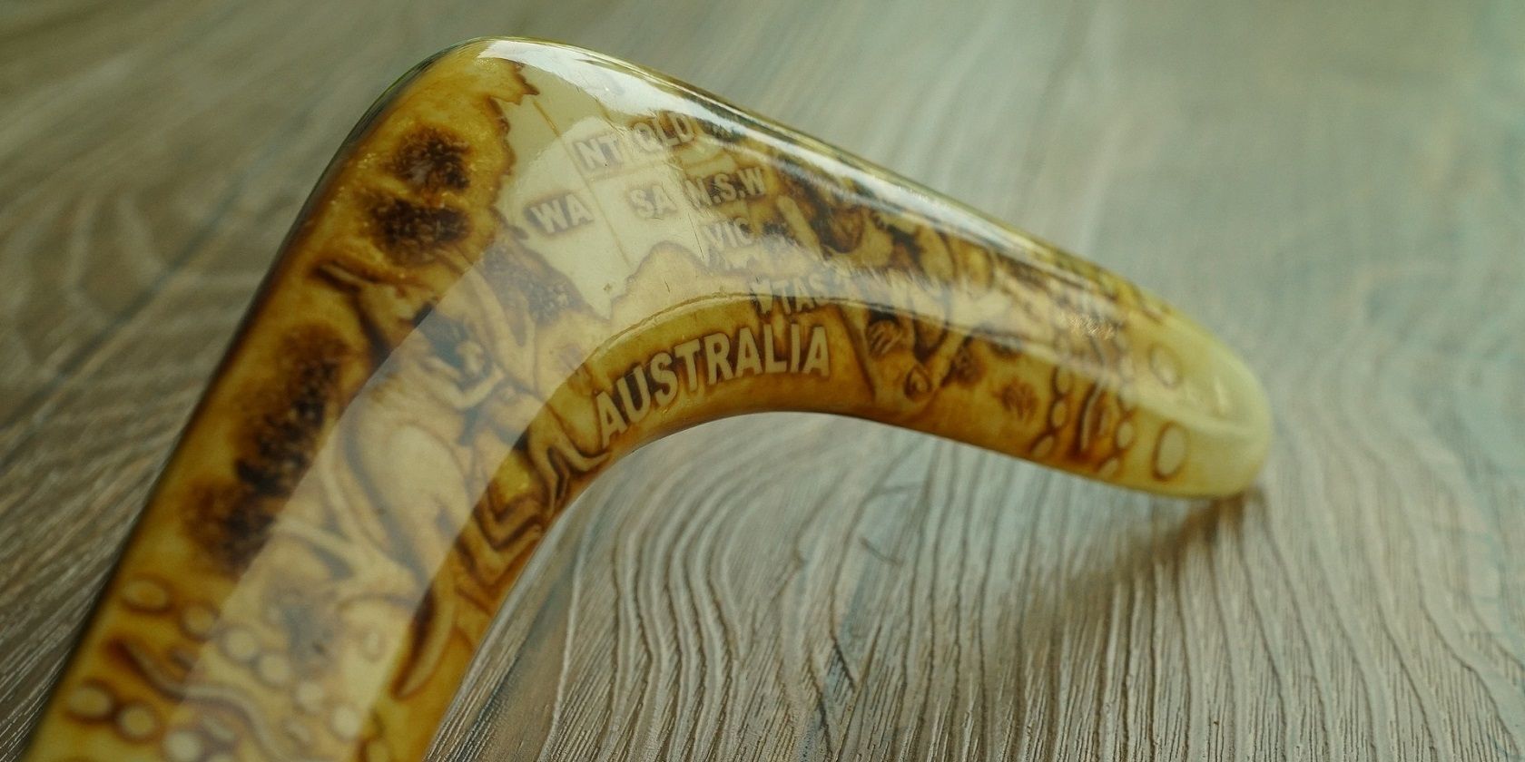 Image of an australian boomerang
