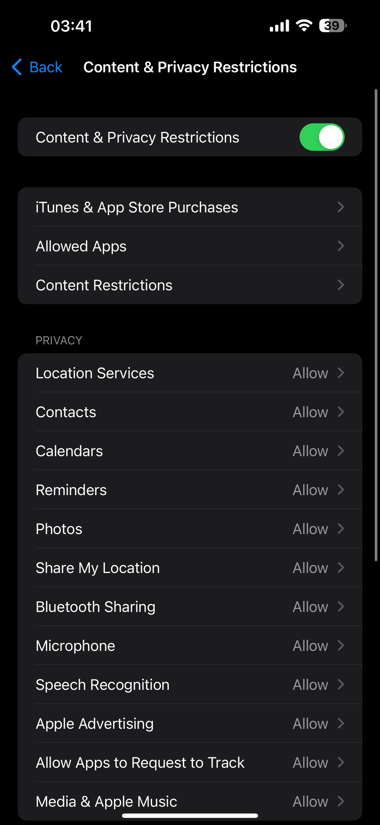 adding restrictions to iphone