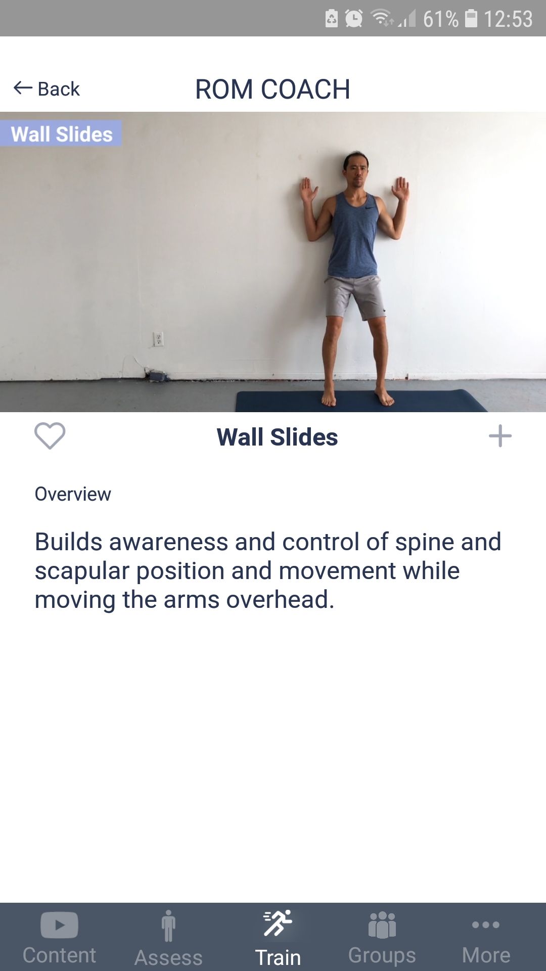ROM Coach mobile app wall slides