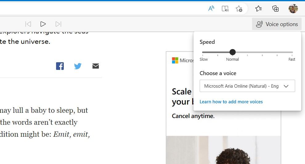 Screenshot Showing Read Aloud Options on Microsoft Edge