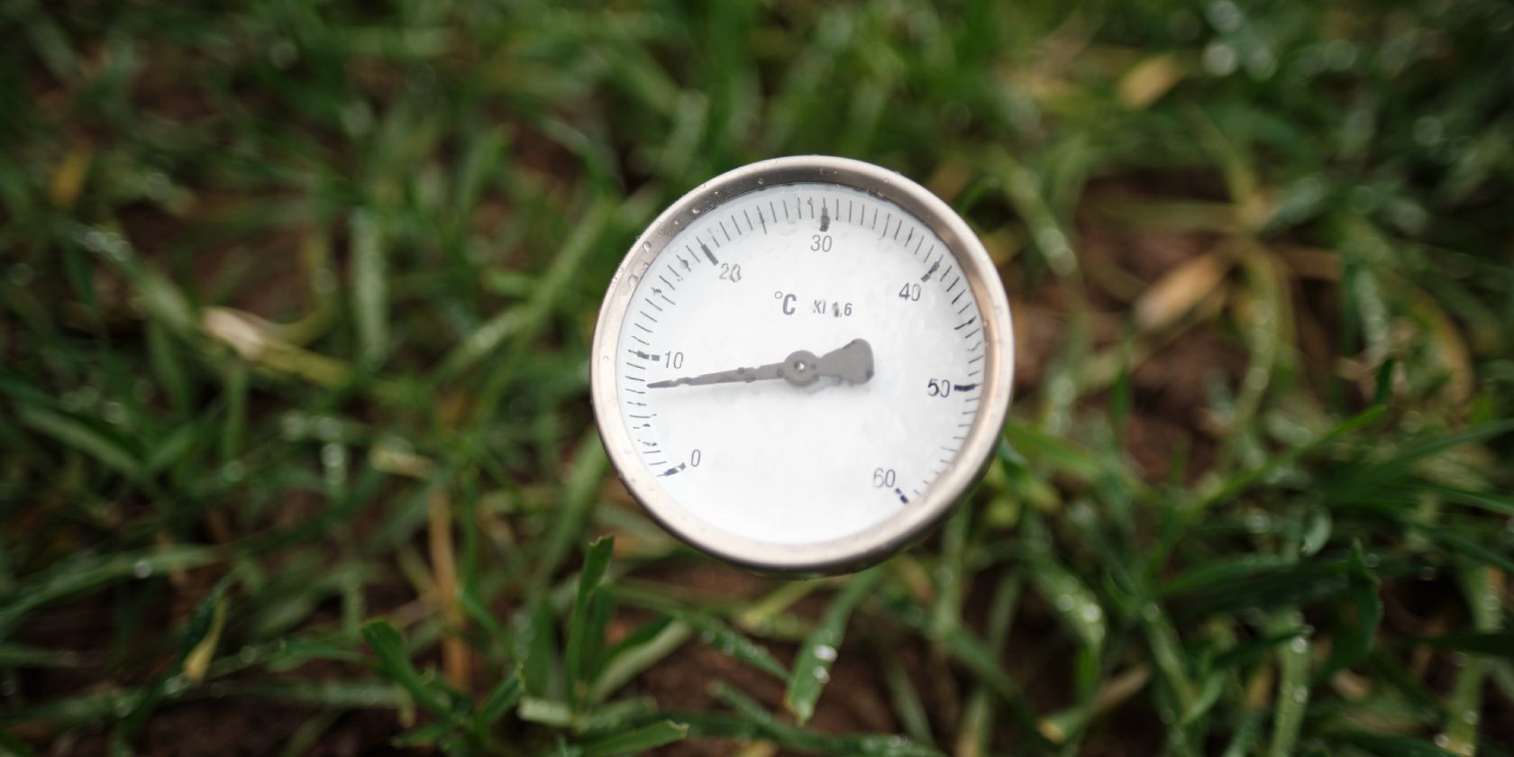 Soil thermometer in ground surrounded by grass
