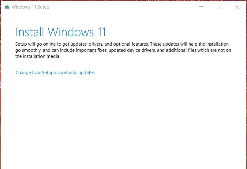 The Windows 11 setup window